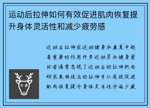 运动后拉伸如何有效促进肌肉恢复提升身体灵活性和减少疲劳感